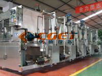 Pasteurizer