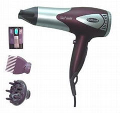 Professional Hair Dryer