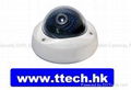 Valdalproof IR Dome camera