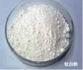 Titanium Dioxide