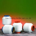 spandex covered PA66/PA6 nylon yarn