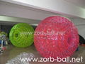 zorb