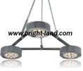 LED Downlight 36w