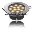 LED Downlight 1