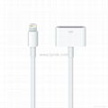 iPhone 5s Lightning to 30-pin Adapter Cable 1