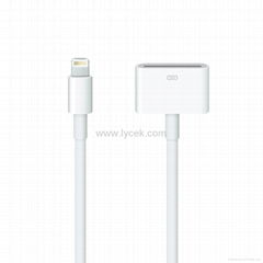 iPhone 5s Lightning to 30-pin Adapter