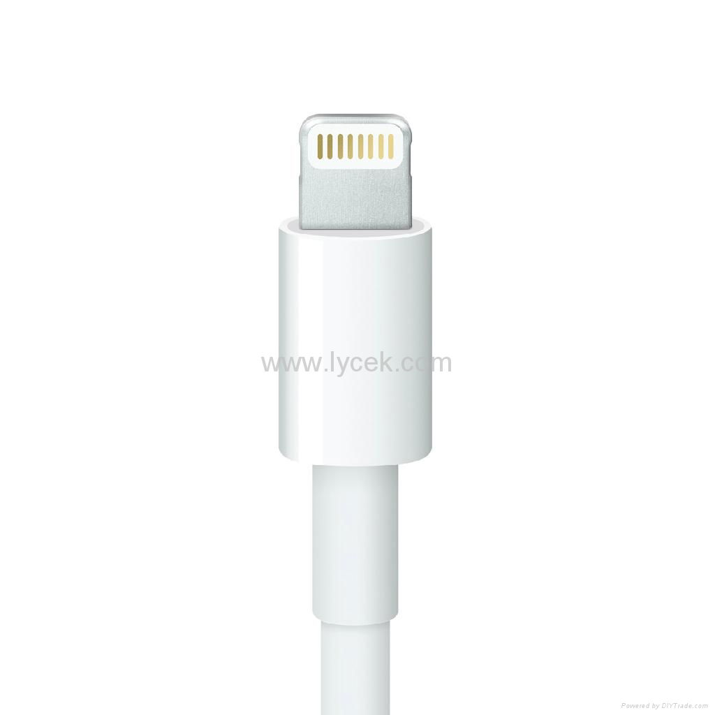 iPhone 5s Lightning to 30-pin Adapter Cable 2