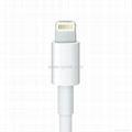 iPhone 5s Lightning to 30-pin Adapter Cable 2