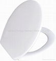 Duroplast toilet seats