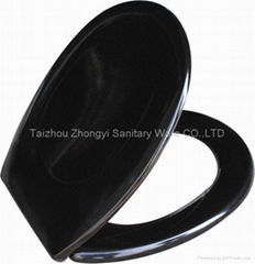 Duroplast toilet seats