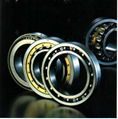 Deep groove ball bearings