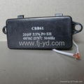 Metallized Film Capacitor 1