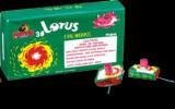 Lotus Fireworks (FT-5016)