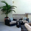 Woven wicker deep seating set - Terrace outdoor furniture 5