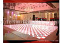 LED Dance Floor