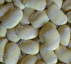 white kidney beans