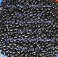 black turtle beans or small black kidney