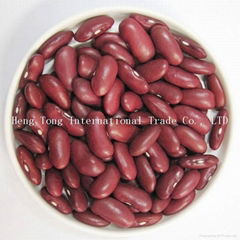 Dark Red Kidney Beans