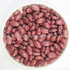 Small Red Kidney Beans