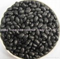 Black Kidney Beans