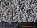 White Kidney Beans (Great Northern