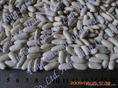 White Kidney Beans (Great Northern Beans)