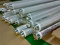 Led Tube Lamp 1