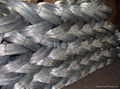 electro galvanized iron wire 1