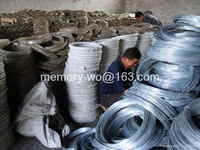 Galvanized Wire 5