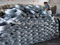 electro galvanized iron wire 1