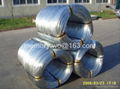 electro galvanized iron wire 3