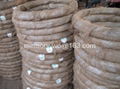 electro galvanized iron wire(used for building) 3