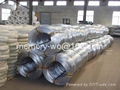 electro galvanized iron wire(used for building) 5