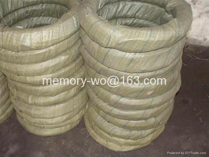 electro galvanized iron wire( factory) 3