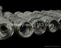 black annealed wire 5