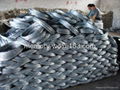 electro galvanized iron wire 4