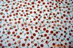 Polyester fabric printing 3