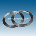 Metal Serrated Gasket 1