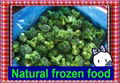 frozen broccoli 1