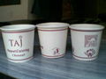 disposable paper cups of various sizes