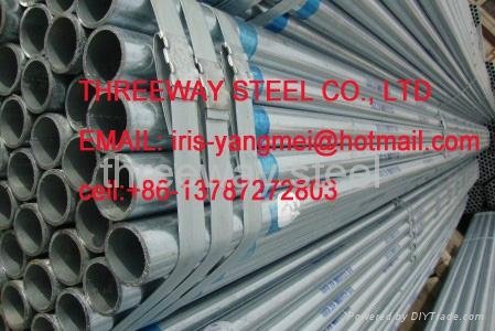 Hot dipped galvanised steel pipe /HDG scaffolding tubes