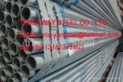 Hot dipped galvanised steel pipe /HDG scaffolding tubes