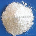 gypsum powder