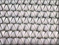  conveyor belt wire mesh  2