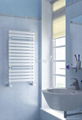 bathroom  radiator 1