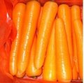 fresh carrot 4