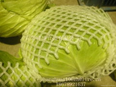 fresh cabbage