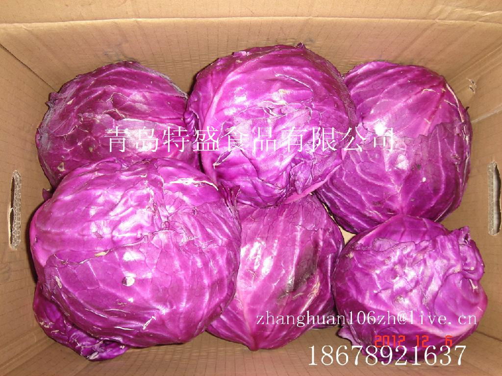 red cabbage