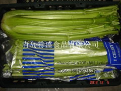 fresh celery