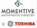 Momentive TSE3050S 2